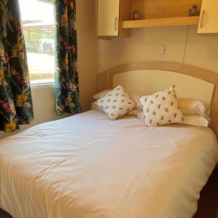 Apartament Rose Corner Axminster Zewnętrze zdjęcie